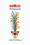 FLOWER POTS SPECIAL